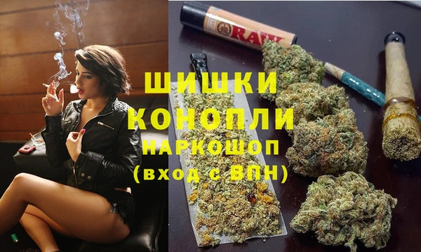 Альфа ПВП Алзамай