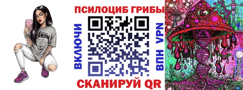 купить   Байкальск  Псилоцибиновые грибы Cubensis 